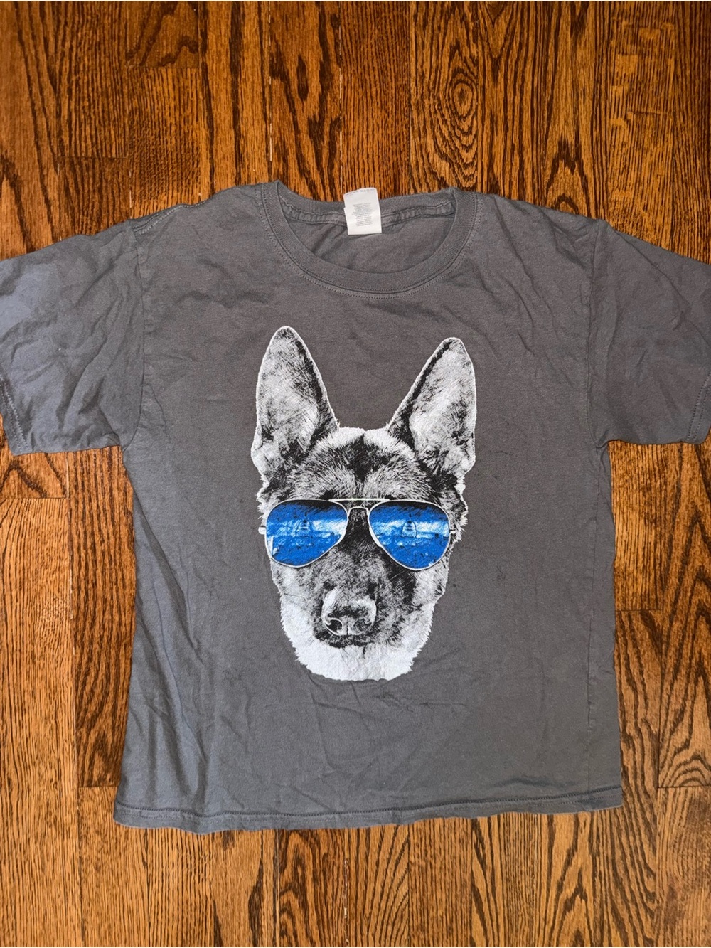 Gildan Gray Tee with Dog Graphic and Blue Sunglasses